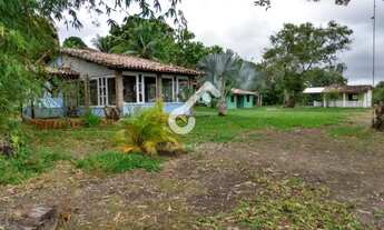 Imagem 3: BARRA DO POJUCA, Monte Gordo. Propriedade Rural em frente a ITACIMIRIM com 8,5ha (85.000m²