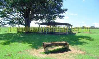 Imagem 5: Sítio 29,18 hectares, duas casas, formado, Prata Mg
