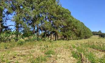 Imagem 5: Lote/Terreno para venda possui 500 metros quadrados em Centro - Atibaia - SP