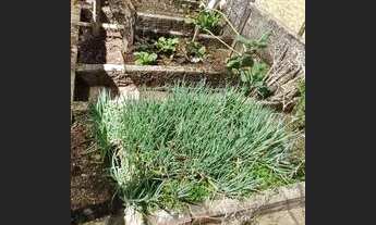 Imagem 6: Chácara para venda possui 1 alqueire de Terra