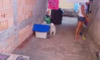 Imagem 3: Agio Casa Pequis!! Oportunidade