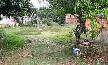 Imagem 5: Lote de 1.200 na Arniqueiras