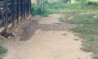 Imagem 7: Chácara para venda na Ponte Alta do Gama - DF