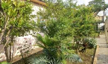 Imagem 3: Terreno em local nobre , amplo , ótima frente com 270 metros pronto para construir!