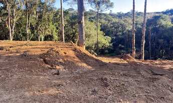 Imagem 3: Chácara Chácara com venda por R$150.000