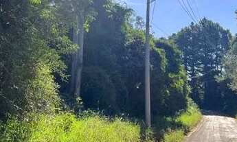 Imagem 2: Sítio em Taquara próximo do asfalto