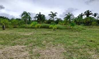 Imagem 6: Vendo chacara ou troco em casa em pvh