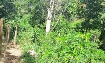 Imagem 6: Terreno em São Lourenço da Serra