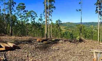 Imagem 4: Espaços para Sonhar - Lotes em Condomínio Fechado com Infraestrutura Completa