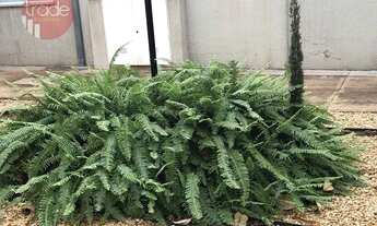 Imagem 15: Apartamento com 2 dormitórios, 47 m² - venda por R$ 185.000,00 ou aluguel por R$ 1.291,00