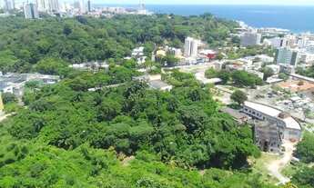 Imagem 4: Apartamento Com 2 Dorm. e vista para o zoológico e o Mar