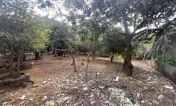 Imagem 2: Chacara no novo mundo( agua branca