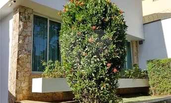 Imagem 3: São Paulo - Casa Padrão - JARDIM FRANCA