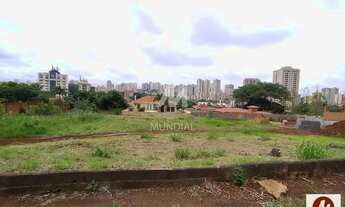 Imagem 3: Terreno (terreno normal