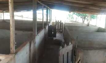 Imagem 3: OPORTUNIDADE! - Chácara em São Jerônimo da Serra - PR - 13.000 metros