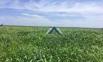 Imagem: Sítio à venda, 798600 m² por R$ 6.100.000,00