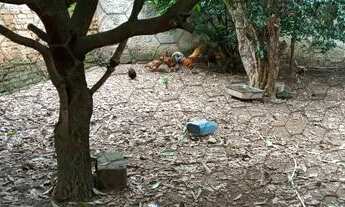 Imagem 6: Térrea para venda com 655 metros quadrados com 2 quartos em Chácara do Visconde - Taubaté