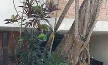 Imagem 1: Sobrado com 3 dormitórios para alugar, 319 m² por R$ 9.280,00/mês - Jardim do Mar - São Be