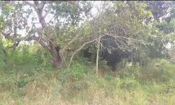 Imagem 2: Sítio 1.5 hectares