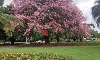 Imagem 3: Terreno a venda em condomínio Royal Park, em Ribeirão Preto/SP I Imobiliaria em Ribeirão P