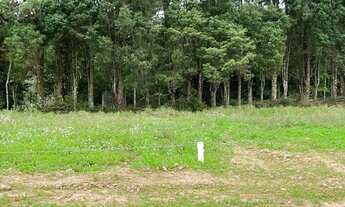 Imagem 6: SEU TERRENO EM CAUCAIA DO ALTO-COTIA/SP!