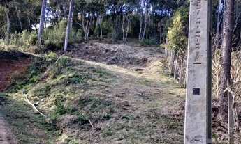 Imagem 4: Seu Refúgio na Natureza Terreno de Chácaras, Campina Grande do Sul