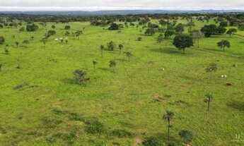 Imagem 6: Fazenda à Venda, 177 Alqueires Campos Belos - GO