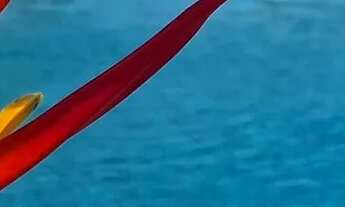 Imagem 4: Linda fazenda com casa e piscina por temporada t