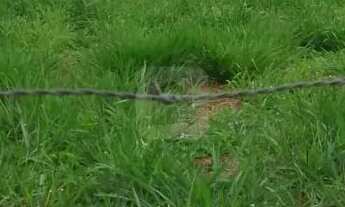 Imagem 2: Terreno A Venda No Bairro Novo Mundo