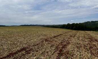 Imagem 3: Sítio de 8 alqueires na colônia nova