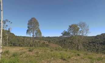 Imagem 7: 9,5 hectares sendo 7 hectares e. Pasto casa pitoresca