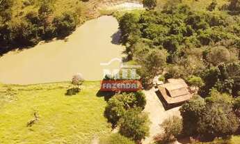 Imagem 6: Chácara 7.97 alqueires (38,57 hectares) Cromínia - GO