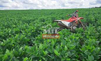 Imagem 4: REPASSE DE ARRENDAMENTO DISPONÍVEL BOM JARDIM (GO