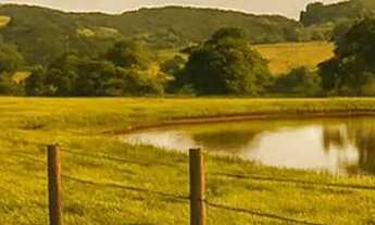 Imagem: São Roque Oportunidade Única de Investimento