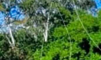 Imagem: Lote Exclusivo de Frente ao Lago Condomínio