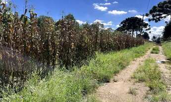 Imagem 6: ÁREA BR 376 SÃO JIOSÉ DOS PINHAIS