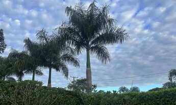 Imagem 7: Terreno no condomínio Paraíso tropical