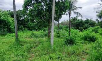 Imagem: Vendo sítio no barro branco perto do trevo