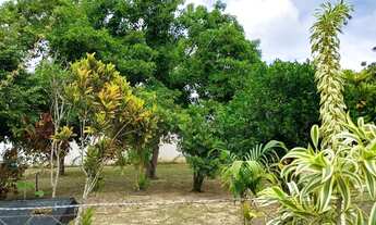 Imagem 2: Terreno para venda com 361 m2 na Rua do Catu - Alagoinhas - BA