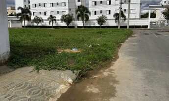 Imagem 2: Lote Augusta Mota - Localização Privilegiada