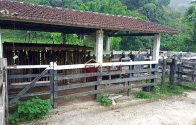Imagem 5: Fazenda com 3 dormitórios à venda, 3968000 m² por R$ 11.000.000,00 - Área Rural de São Fra
