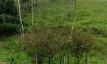 Imagem 3: Imóvel para venda com 30400 metros quadrados em Laranjeiras - Paraibuna - SP