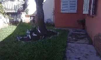 Imagem 2: Casa de 03 dormitórios com suite à venda no bairro Medianeira, Porto Alegre