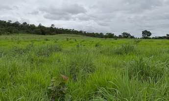 Imagem 5: Vendo ou alugo fazenda 52 alqueires