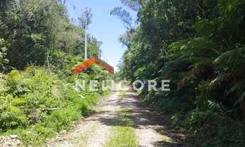 Imagem 4: Lote em Rua 1 - Colinas - São Francisco de Paula/RS