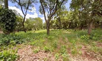 Imagem 6: Terreno em Condomínio Recreio Internacional 4.985,93 m² - venda