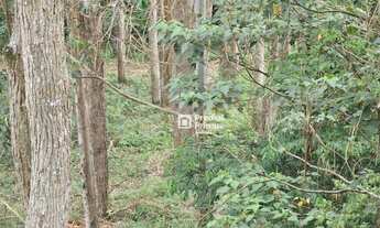 Imagem 6: Terreno à venda, 14340 m² por R$ 450.000,00 - Riograndina - Nova Friburgo/RJ