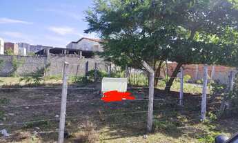 Imagem 4: Terreno 10x25 no Aningas (Farolândia