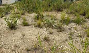 Imagem 3: Lote 9x17,7 Em Condomínio Fechado, Segurança