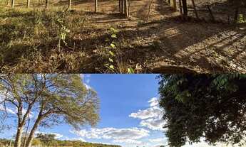 Imagem 5: Vendo Fazenda em Girassol - Cocalzinho GO